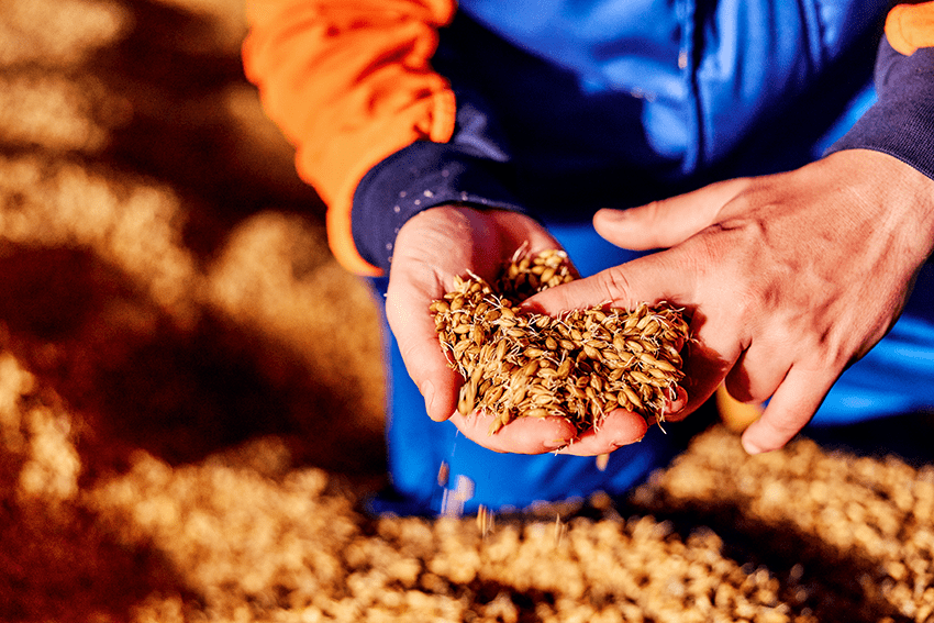 Holland_Malt_Eemshaven-4