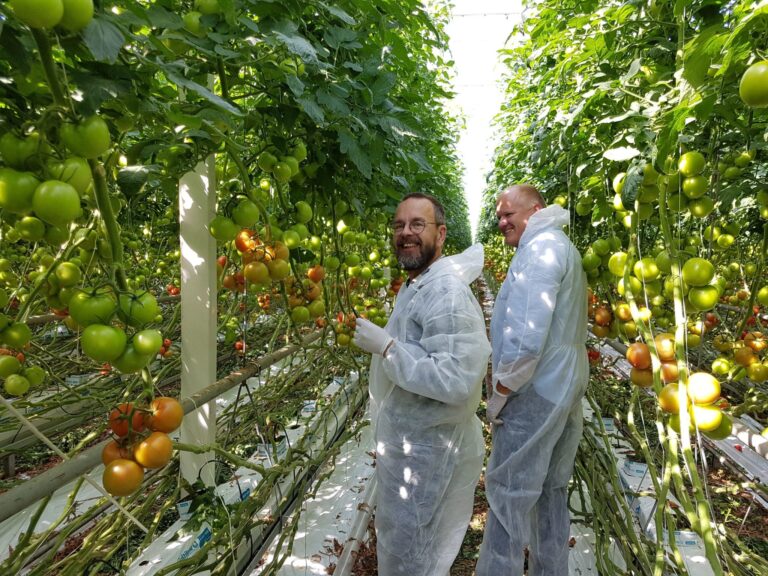 Compostable PLA based rope for horticulture