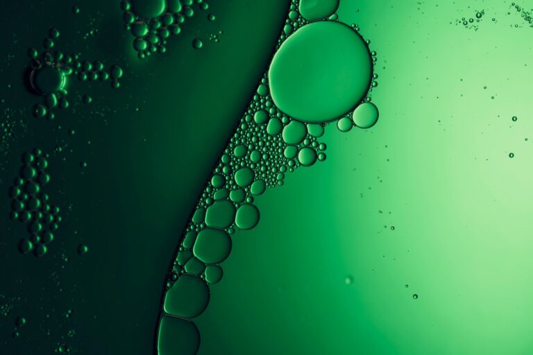 Chemport Europe wins Dutch EEPA final