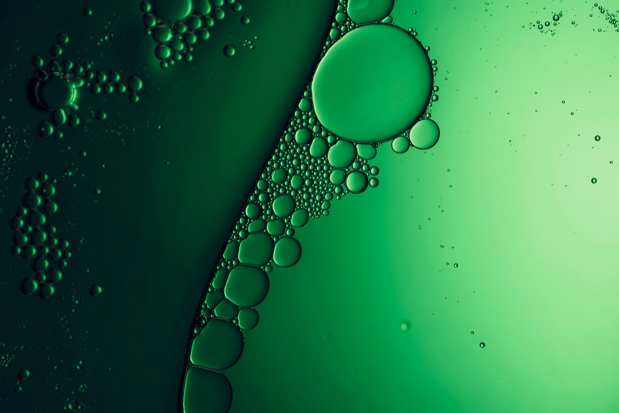 shutterstock_2186307839-web